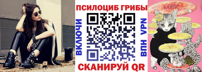 купить закладку  Туринск  Псилоцибиновые грибы ЛСД 