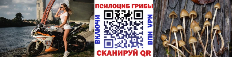 Галлюциногенные грибы ЛСД Туринск