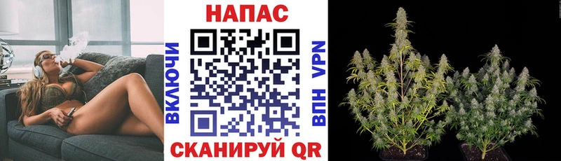 Канабис гибрид  mega как войти  Туринск 